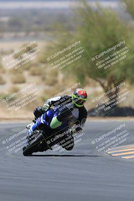 media/May-14-2023-SoCal Trackdays (Sun) [[024eb53b40]]/Turn 5 Tree of Life (1125am)/